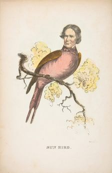 Sun Bird (James S. Wallace), from The Comic Natural History of the Human Race, 1851. Creators: Henry Louis Stephens, L. Rosenthal