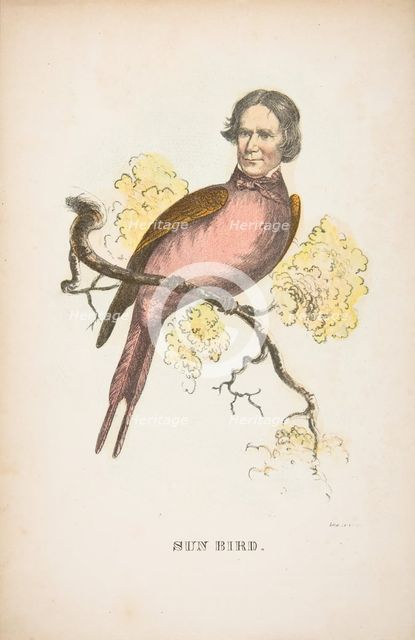 Sun Bird (James S. Wallace), from The Comic Natural History of the Human Race, 1851. Creators: Henry Louis Stephens, L. Rosenthal.