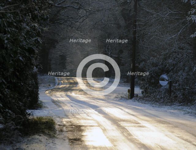 Sun glinting off an icy road in the New Forest 2009 Artist: Unknown.