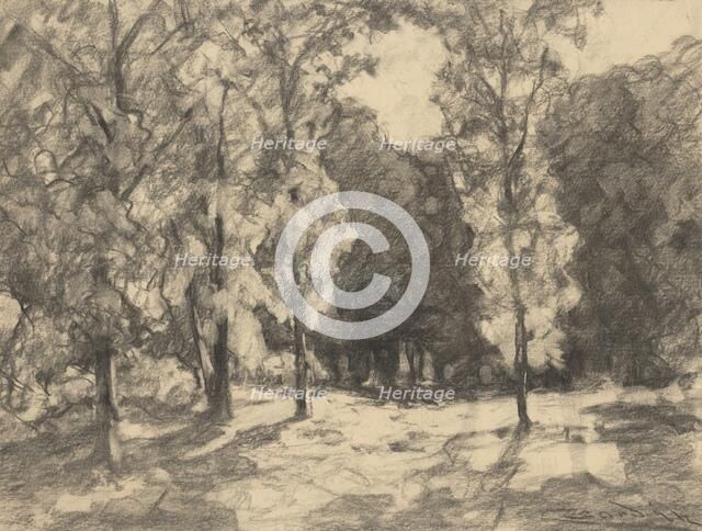 Sun in the forest, 1930-1935. Creator: Ludovit Cordak.