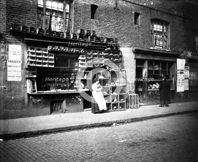 Sunday bird fair, Sclater Street, off Brick Lane, London, 1900s. Creator: John Galt.