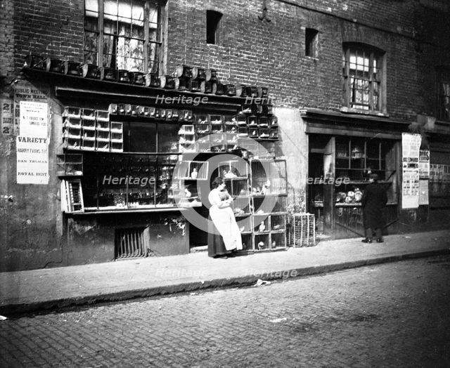 Sunday bird fair, Sclater Street, off Brick Lane, London, 1900s. Creator: John Galt.
