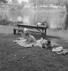 Sunday picnic in park on the Rogue River..., Grants Pass, Josephine County, Oregon, 1939. Creator: Dorothea Lange
