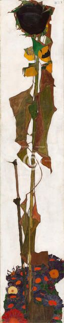 Sunflower, 1909-1910. Creator: Schiele, Egon (1890-1918).
