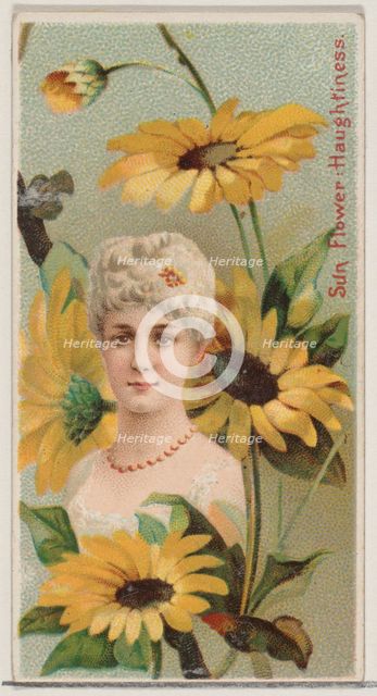 Sunflower: Haughtiness, from the series Floral Beauties and Language of Flowers (N75) for ..., 1892. Creator: Donaldson Brothers.