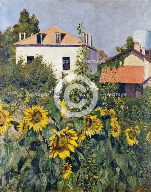 Sunflowers, Garden at Petit Gennevilliers, ca 1885.
