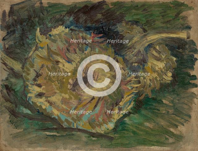Sunflowers Gone to Seed, 1887. Creator: Gogh, Vincent, van (1853-1890).