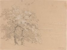 Sunlit Trees Before a Panoramic Landscape, 1810s(?). Creator: Jean-Antoine Linck
