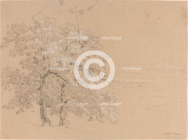 Sunlit Trees Before a Panoramic Landscape, 1810s(?). Creator: Jean-Antoine Linck.