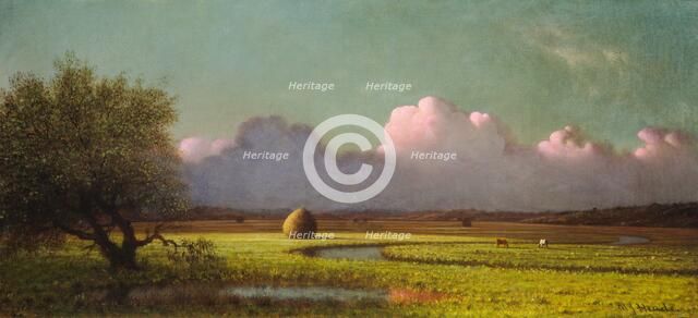Sunlight and Shadow: The Newbury Marshes, c. 1871/1875. Creator: Martin Johnson Heade.