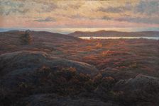 Sunlight, before 1912. Creator: Wahlström, Charlotte (1849-1924)