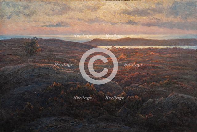 Sunlight, before 1912. Creator: Wahlström, Charlotte (1849-1924).