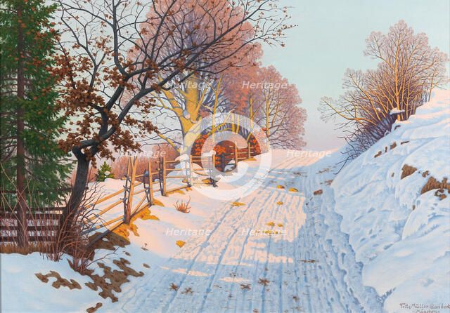 Sunny winter path. Creator: Müller-Landeck, Fritz (1865-1942).