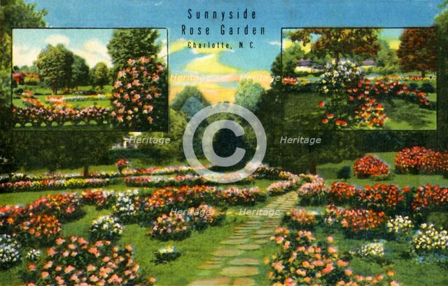 'Sunnyside Rose Garden, Charlotte, N.C.', 1942. Creator: Unknown.