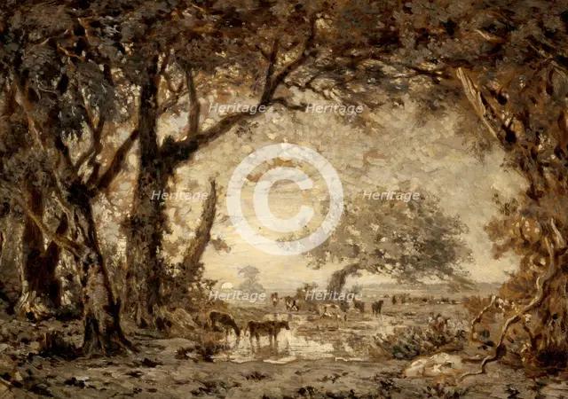 Sunset from the Forest of Fontainebleau, 1848. Creator: Theodore Rousseau.