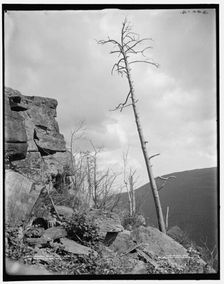 Sunset Rock, Kaaterskill Clove, Catskill Mountains, N.Y., c1902. Creator: Unknown