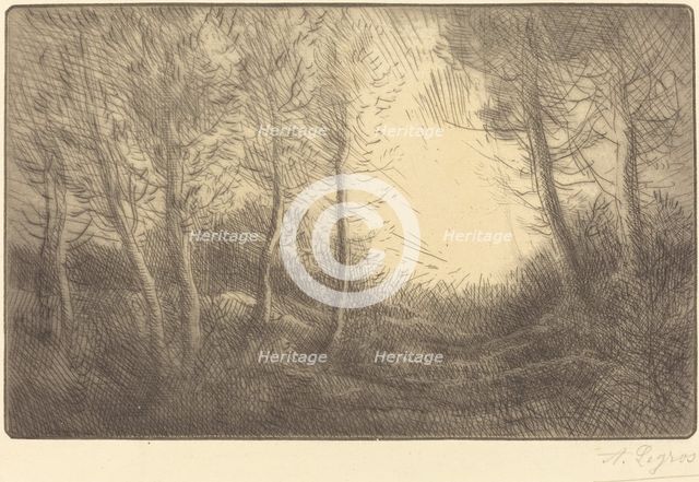 Sunrise, Woods of Clamard (Lever du soleil, bois de Clamard). Creator: Alphonse Legros.