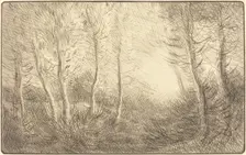 Sunrise, Woods of Clamard (Lever du soleil, bois de Clamard). Creator: Alphonse Legros