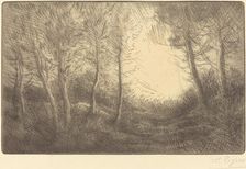 Sunrise, Woods of Clamard (Lever du soleil, bois de Clamard). Creator: Alphonse Legros