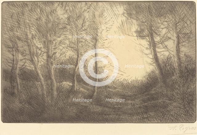 Sunrise, Woods of Clamard (Lever du soleil, bois de Clamard). Creator: Alphonse Legros.