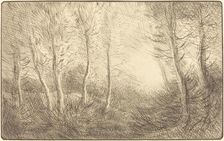Sunrise, Woods of Clamard (Lever du soleil, bois de Clamard). Creator: Alphonse Legros