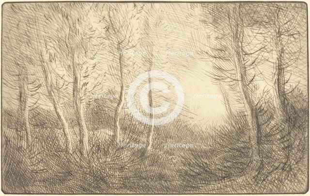Sunrise, Woods of Clamard (Lever du soleil, bois de Clamard). Creator: Alphonse Legros.