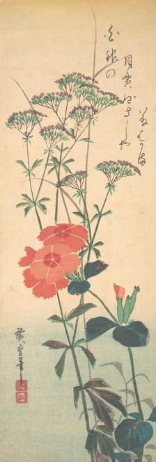 Superb Pinks and Chinese Agrimony, ca. 1836., ca. 1836. Creator: Ando Hiroshige