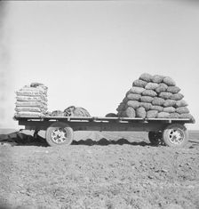Supply of fertilizer and potato seed on edge of field..., Kern County, California, 1939. Creator: Dorothea Lange