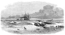 Suppression of the Slave Trade...running on shore of a slave-dhow to escape capture, 1869. Creator: Unknown