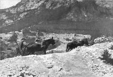 Sur le front Italien, apres Gorizia ; Le general Cadorna, a dos de mulet et suivi d'un officier d'o Creator: Unknown
