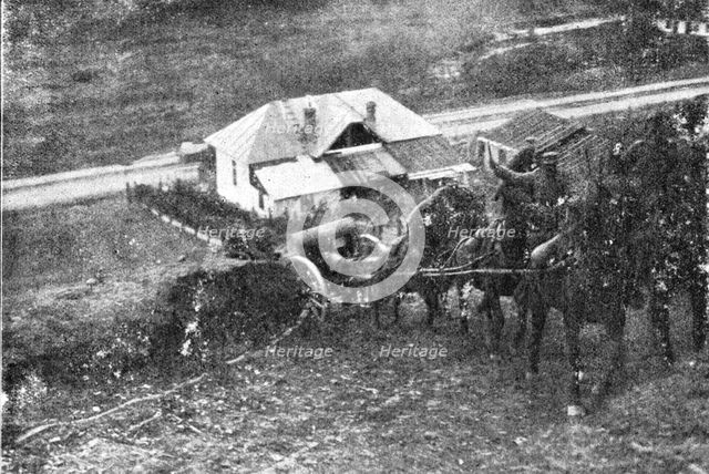 'Sur le front Roumain; piece d'artillerie allant prendre position', 1916. Creator: Unknown.