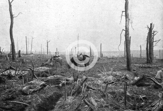 'Sur le rerrain de l'avance Francaise au sud de la Somme; dans le Bois Hache, le bien nomme..., 1916 Creator: Unknown.