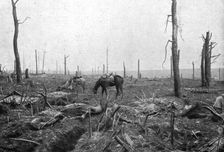 Sur le rerrain de l'avance Francaise au sud de la Somme; dans le Bois Hache, le bien nomme..., 1916 Creator: Unknown