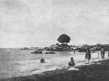 'Sur les bords lac Victoria pres de Bukoba; Afrique Australe 1914. Creator: Unknown