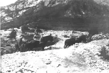 Sur les fronts Italiens du Carso et du Trentin; le general Cadorna, a dos de mulet et suivi...,1916 Creator: Unknown