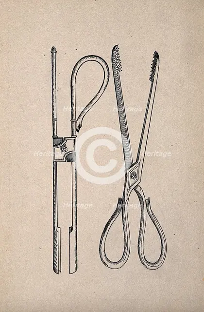 Surgical instruments. Creator: Unknown.