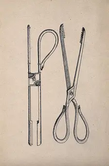 Surgical instruments. Creator: Unknown