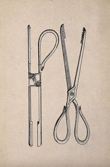 Surgical instruments. Creator: Unknown