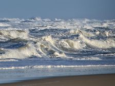 Surfs Up. Creator: Eve Turek