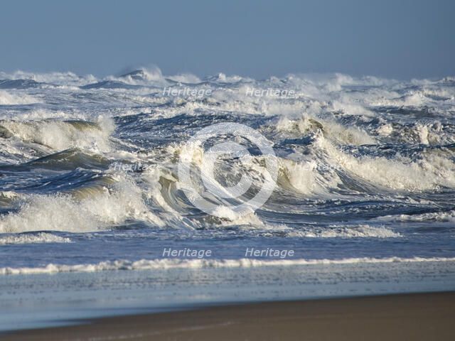 Surfs Up. Creator: Eve Turek.