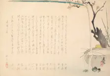 Surimono, ca. 1860., ca. 1860. Creator: Shibata Zeshin