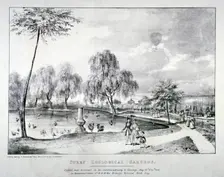 Surrey Zoological Gardens, Southwark, London, 1836. Artist: F Alvey