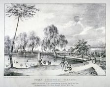 Surrey Zoological Gardens, Southwark, London, 1836. Artist: F Alvey