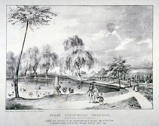 Surrey Zoological Gardens, Southwark, London, 1836. Artist: F Alvey