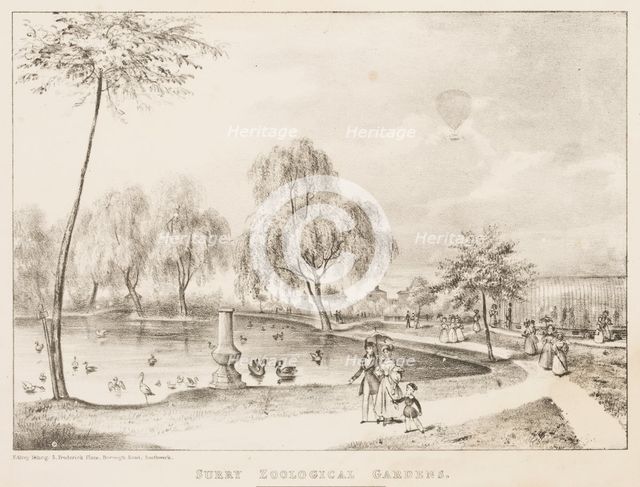 Surry Zoological Gardens, 1836.  Creator: Unknown.