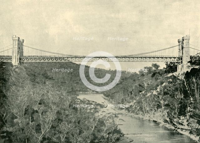 'Suspension Bridge, North Sydney', 1901. Creator: Unknown.