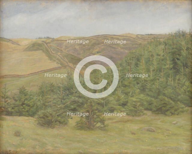 Svanninge Hills, Funen, 1898. Creator: Karl Schou.