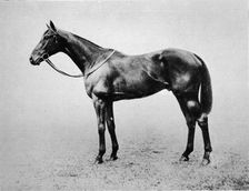 Swynford 1907-1928, (1911)