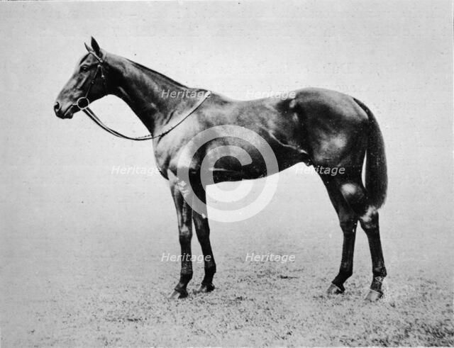 'Swynford', 1907-1928, (1911). Artist: Unknown.