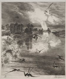 Swallows, 1882. Creator: Félix Bracquemond (French, 1833-1914)